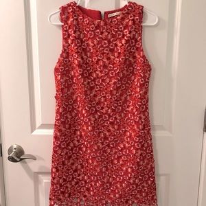 Alice and Olivia Lace Shift Dress